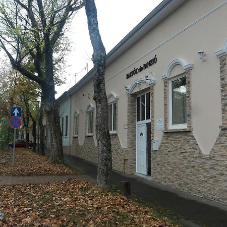 Bed and Breakfast Bartok Ter Panzio Эгер Экстерьер фото